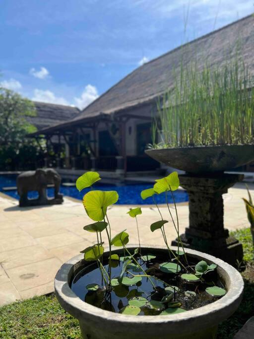 Bali Berg Villa, Sanur Екстериор снимка